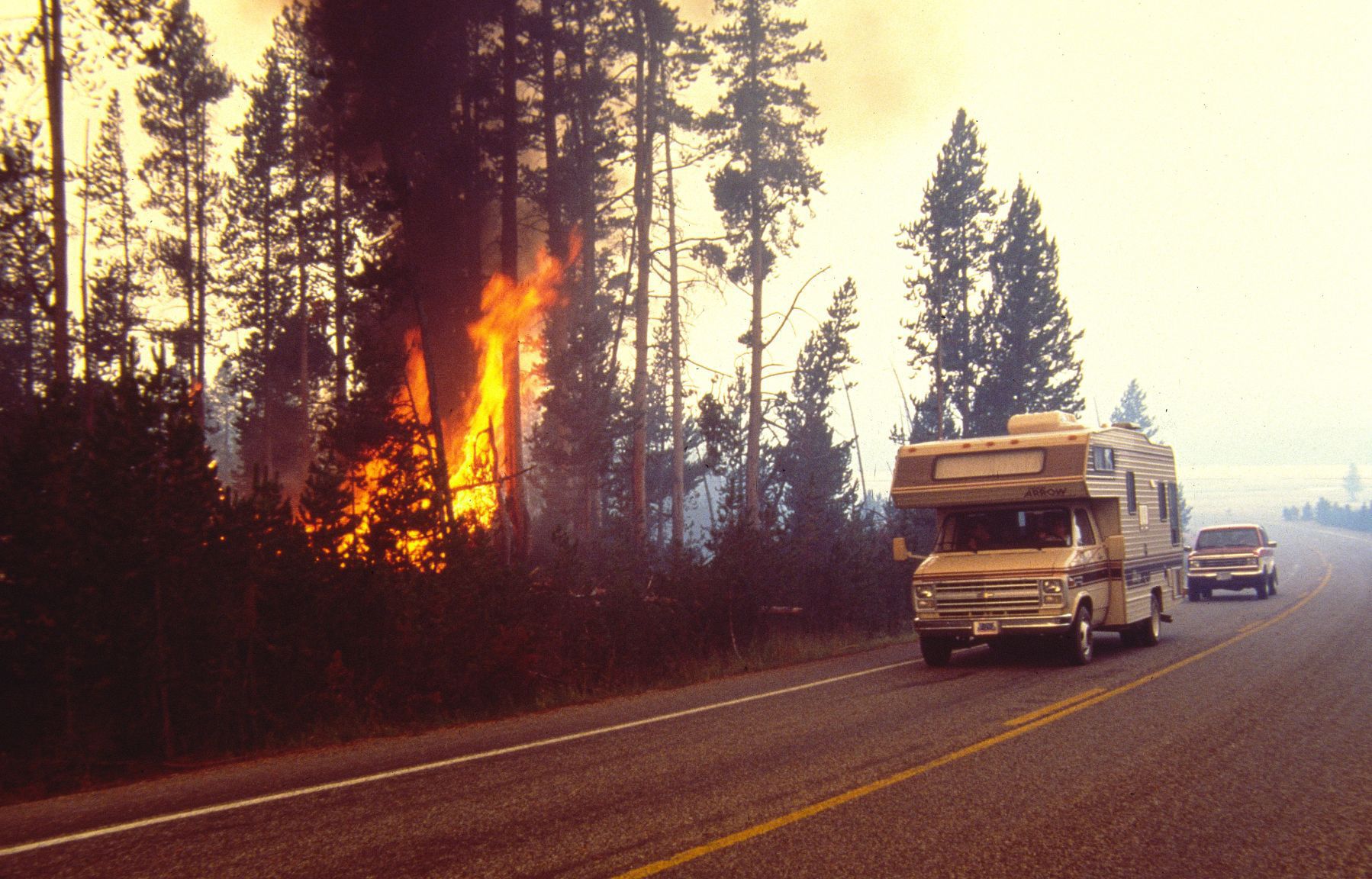 Yellowstone fire tourists
